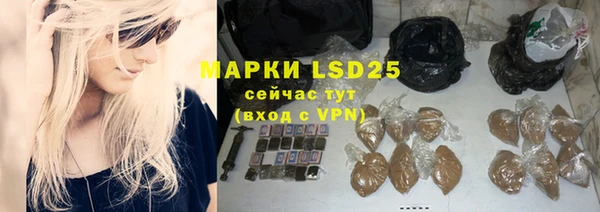 стафф Бородино