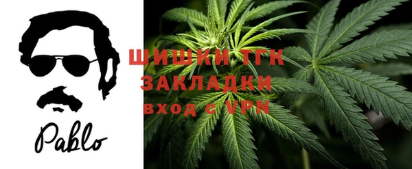 шишки Бугульма