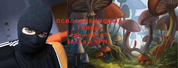 стафф Бородино