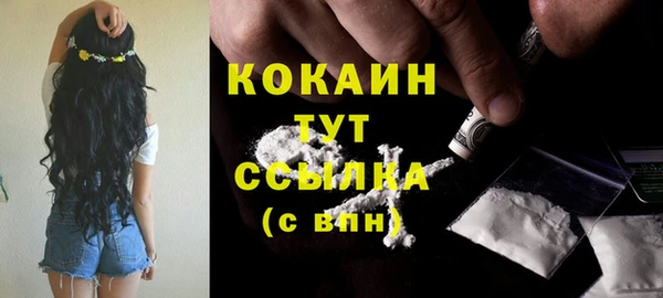 шишки Бугульма