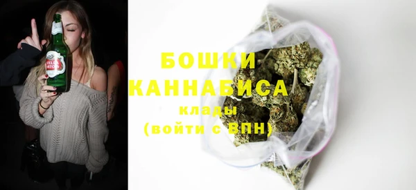 шишки Бугульма