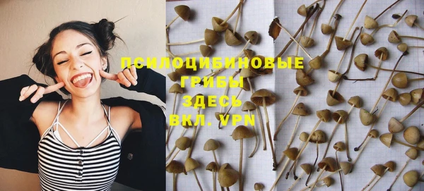 PSILOCYBIN Бронницы