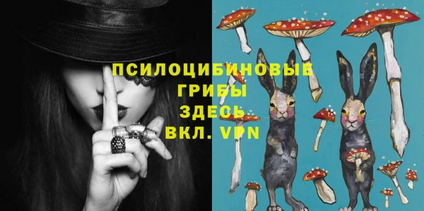 стафф Бородино