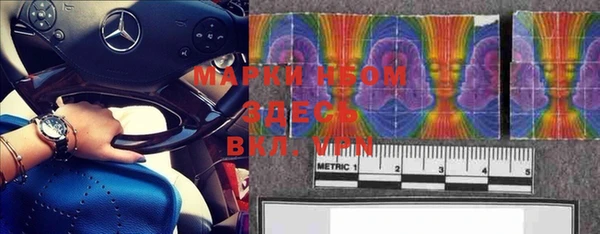 PSILOCYBIN Бронницы