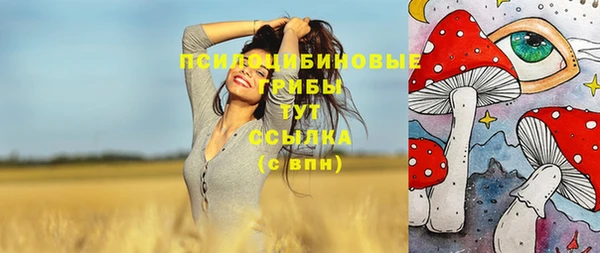 PSILOCYBIN Бронницы