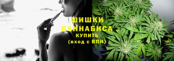 шишки Бугульма