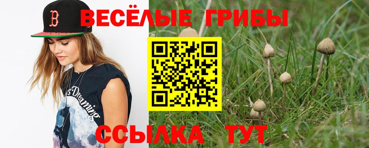 Галлюциногенные грибы прущие грибы  Вход с VPN  Бузулук 