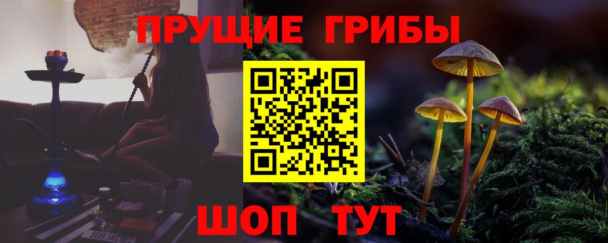 Псилоцибиновые грибы MAGIC MUSHROOMS Бузулук